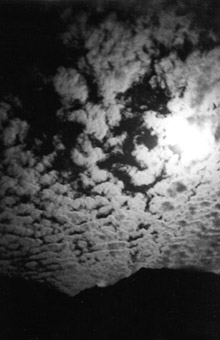 Snaps from around luktown